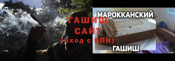 индика Богданович