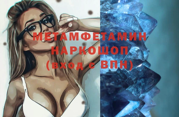 индика Богданович