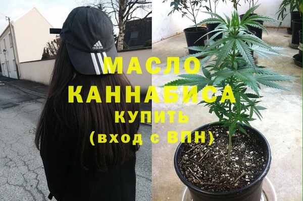 индика Богданович