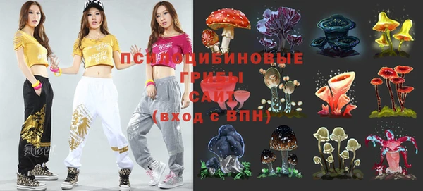 соль ск Беломорск