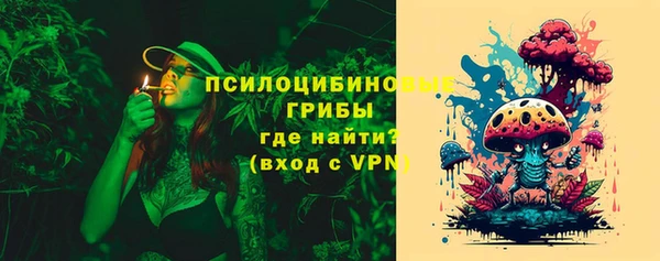 ПСИЛОЦИБИНОВЫЕ ГРИБЫ Белоозёрский