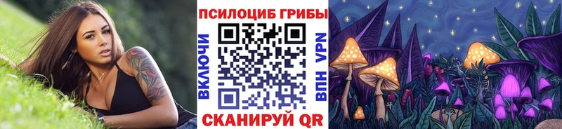 купить закладку  Моздок  Галлюциногенные грибы MAGIC MUSHROOMS 